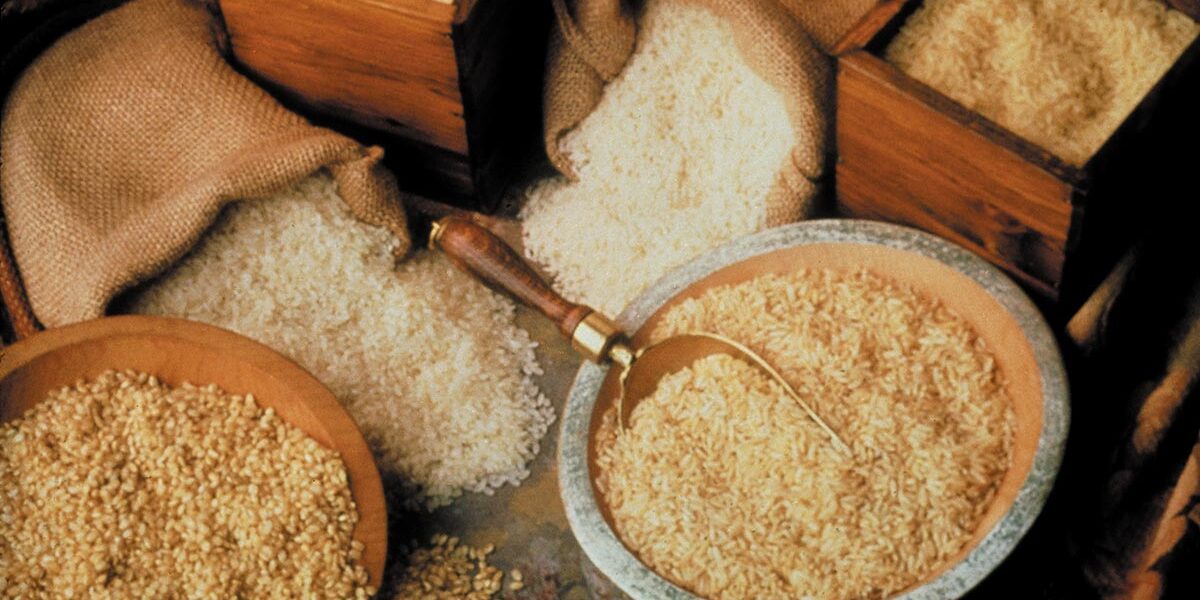 美国稻米供应量及使用量概况