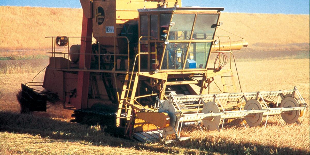 美国稻米的栽种