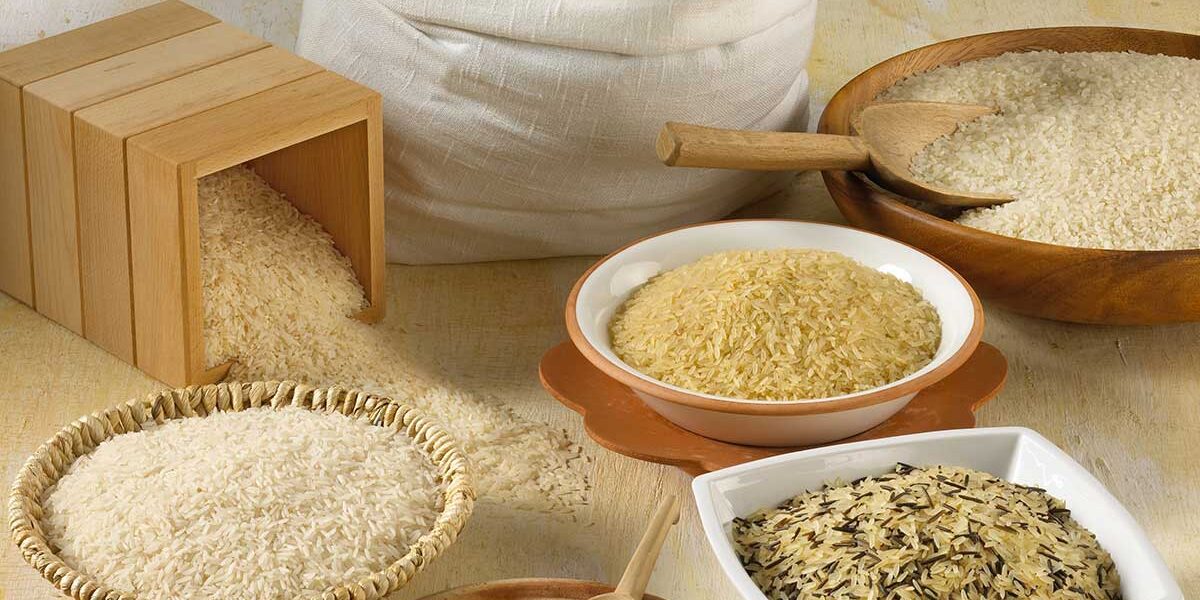 2015美国稻米产业说明会 2015美国稻米产业说明会