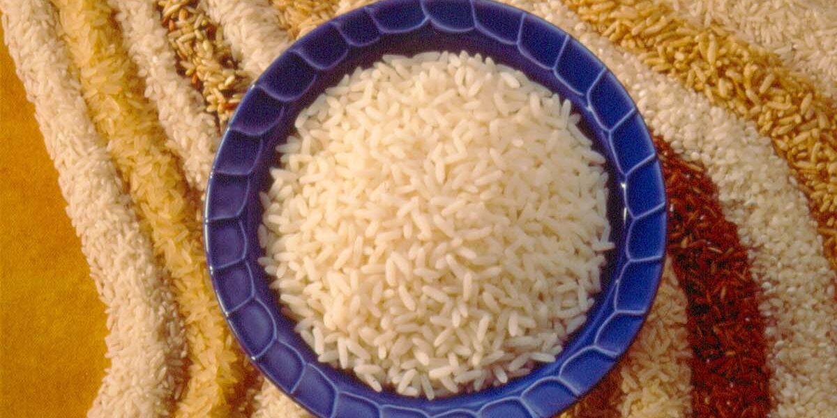 美国稻米的黄金传奇 美国稻米的黄金传奇