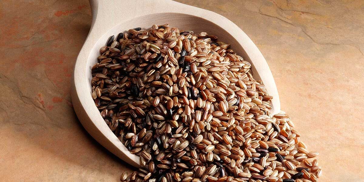 US No.1，粒粒优质、口感鲜Q