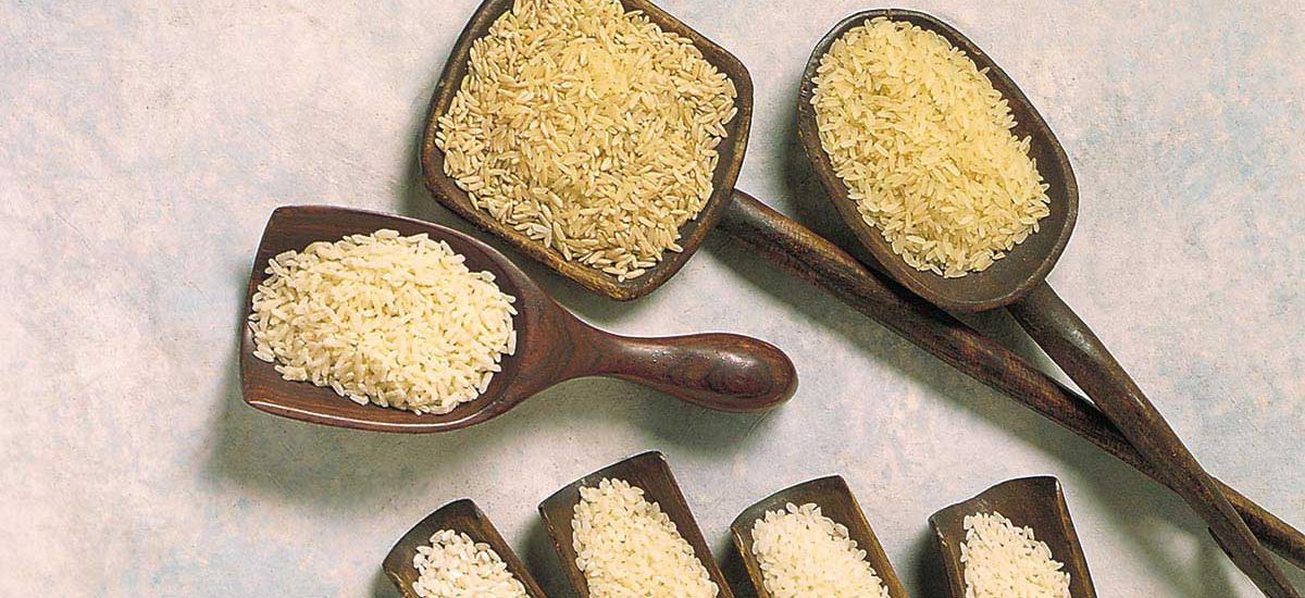 美国稻米的加工形式