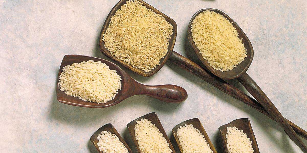 美国稻米的加工形式 美国稻米的加工形式