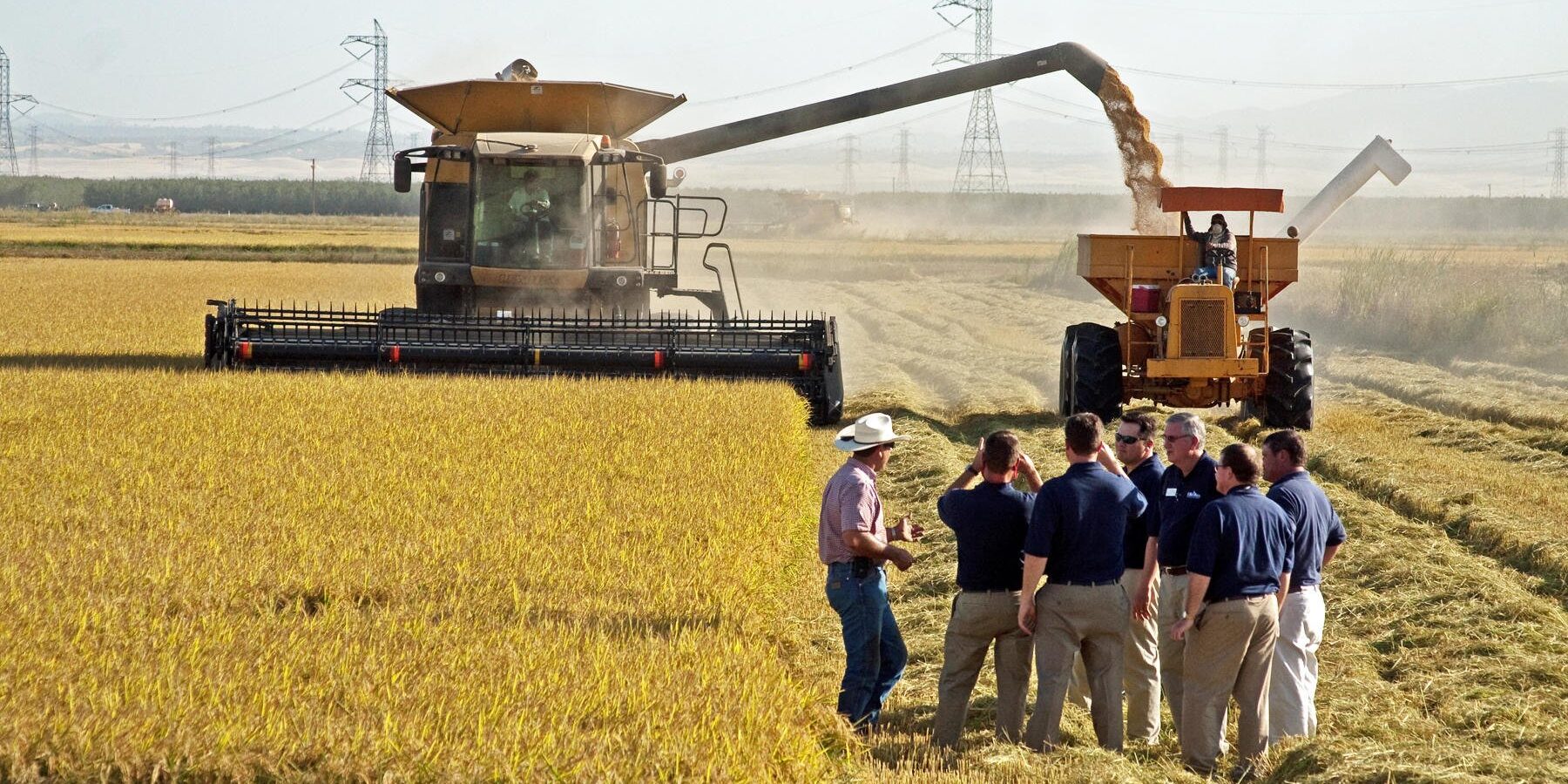 Rice Leadership Development Rice Leadership Development