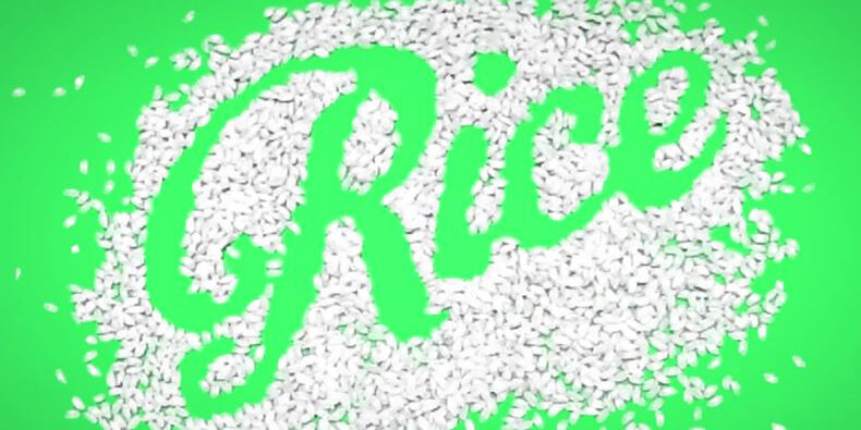itp–r-i-c-e-spelled-out-with-white-rice-crop-211022