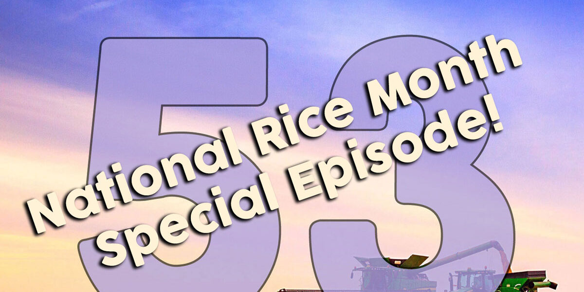 comm-the-rice-stuff-tile-final-episode-53-nrm-220901