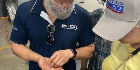 ip-central-american-cochran-fellows-examining-milled-rice-221003