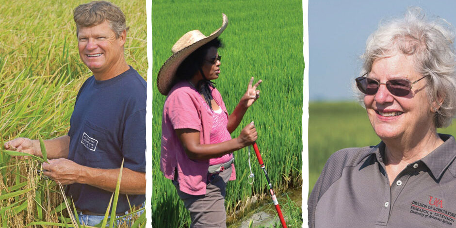 comm-2022-rice-farming-magazine-award-winners-221213