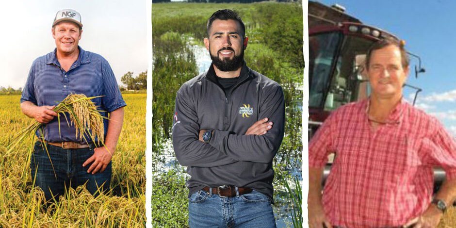 comm-organic-production–bosworth–cavazos—-danklefs-221215