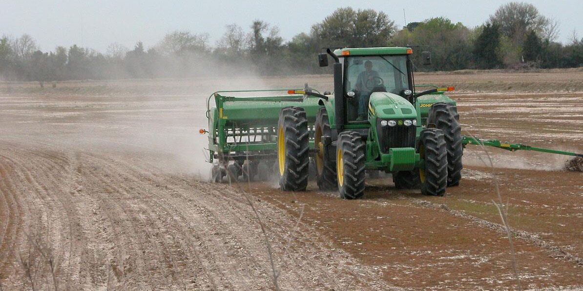 路易斯安那州、得克萨斯州和佛罗里达州的播种已经开始 路易斯安那州、得克萨斯州和佛罗里达州的播种已经开始