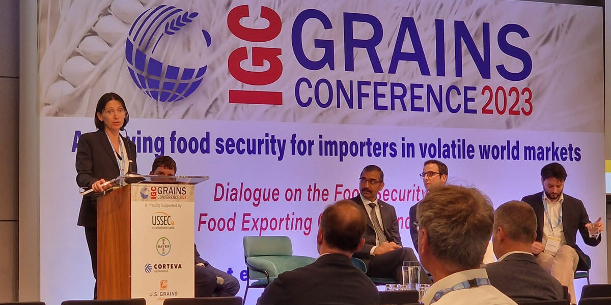 International Grain Council Grapples with Volatile World Markets