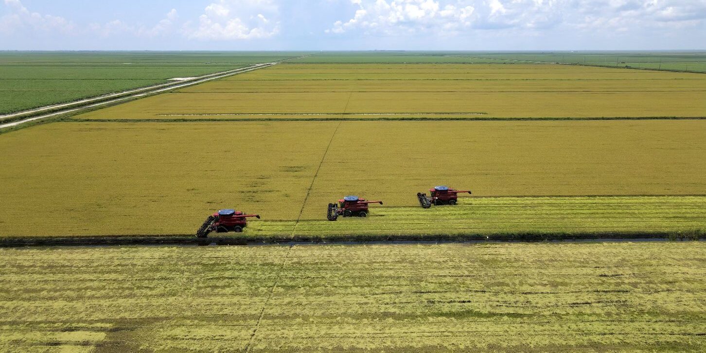 florida-harvest-aerial-view-d-cavazos-photo