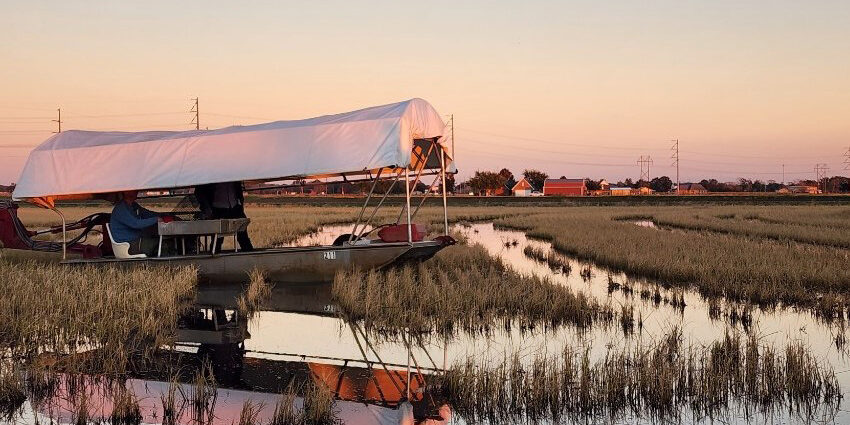 sus-crawfish-operation-on-zaunbrecher-farm-230630