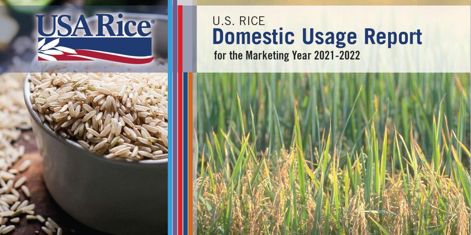 New Domestic Usage Report Includes Consumer Research Data